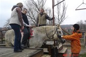 DSC08124m.jpg